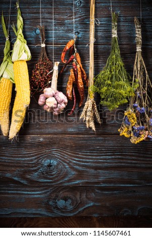 Autumn vegetables harvest hanging on wooden wall.