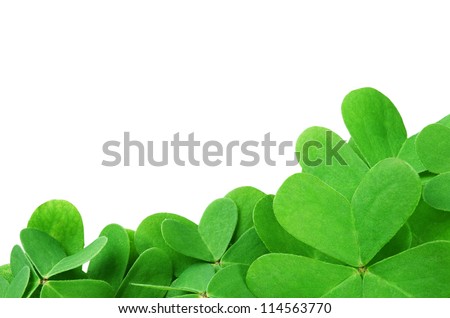 St. Patrick's clover border isolated on white background