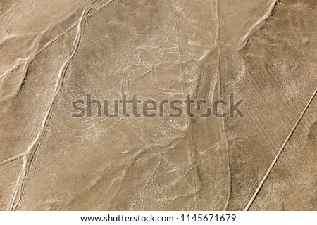 Aerial view of the Nazca Lines, the monkey, Peru