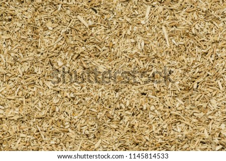 Sliver brown  texture on backdrop. Royalty-Free Stock Photo #1145814533