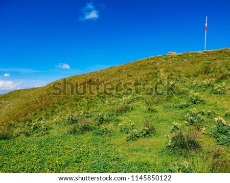 View on the summit of Alpine mountain, minimalist landscape with green grass, blue sky and the swiss flag, Alvier mountain hiking trail, Swiss Alps