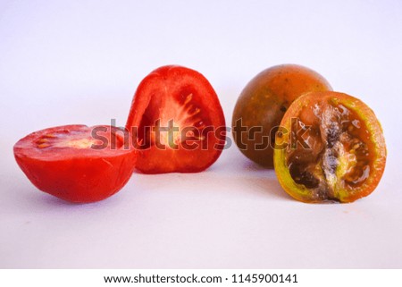 old tomatoes are striking red color and young tomatoes are yellow-green