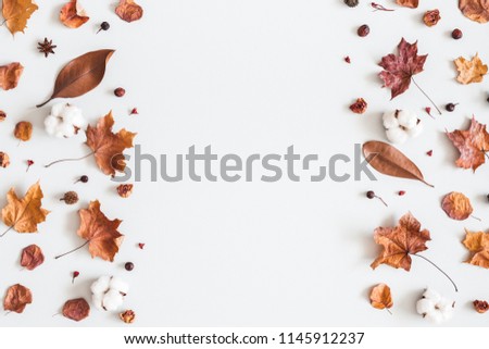 Autumn composition. Frame made of cotton flowers, dried maple leaves on pastel gray background. Autumn, fall concept. Flat lay, top view, copy space