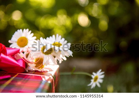 daisies and gift box. gift and  bunch of chamomiles. Summer gift, summer holiday, birthday party in the park. Birthday present