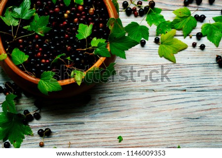 black currant with green leaves on a white shabby table laid out in the form of a frame with a place for copyspace in a wooden Cup with a red knitted scarf in the autumn