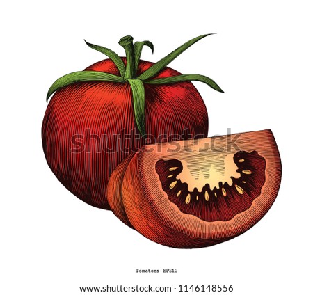 Tomatoes hand draw vintage clip art isolated on white background