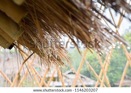 Water drops on thatched roof, Roof made of dried grass in the countryside.