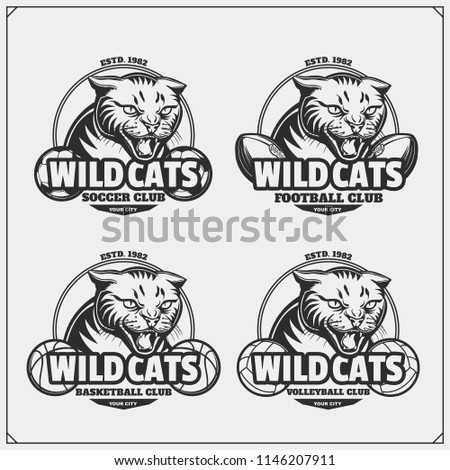 Volleyball, baseball, soccer and football logos and labels. Sport club emblems with wild cat. Print design for t-shirt.