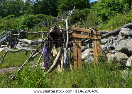 Fort Made of Driftwood