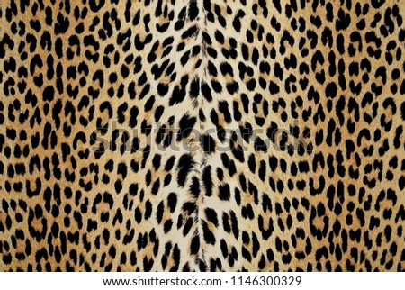 Leopard fabric on the wall