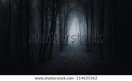 dark forest with man at night