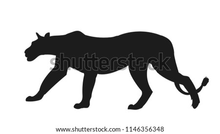 lioness silhouette, vector, white background
