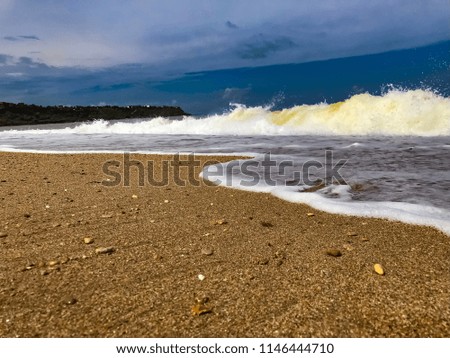 Crimea beach summer sea