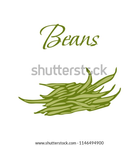 Illustration of Tasty Veggies. Vector Beans Isolated on a White Background