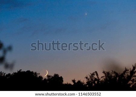 Crescent Moon and Venus Constellation