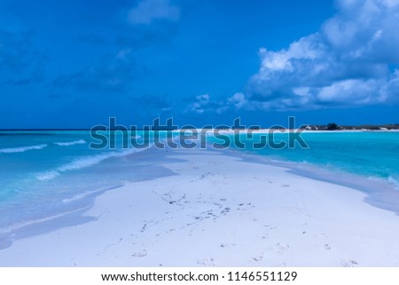 Tropical white beach in Cayo de Agua  (Los Roques Archipelago, Venezuela).