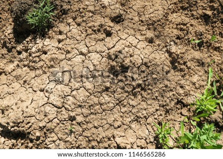 clay earth in the cracks of drought