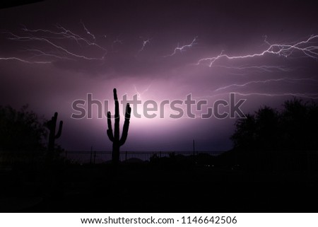 Lightning silhouette saguaro 