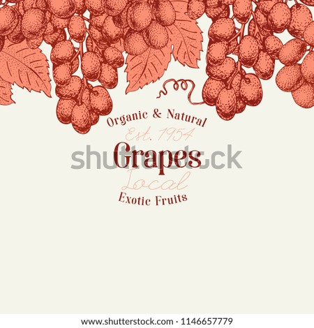 Grape berry design template. Hand drawn vector fruit illustration. Engraved style vintage botanical background.