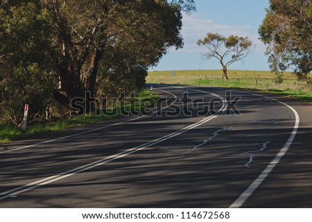 Curved road in shade of eucalyptus woods on left and single tree in front with blue sky and light clouds in Victoria, Australia