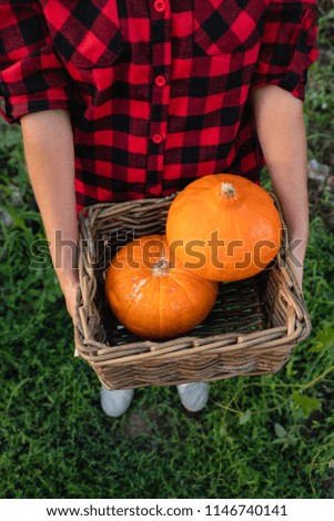 Woman is standing in the garden and holding orange pumpkins in her hands. Season harvesting. Vertical photo.