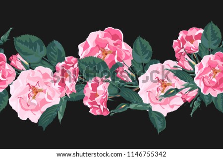 Vector seamless pattern with briar. Wild rose rosa canina dog rose garden flowers. Vintage botanical illustration. Black background.