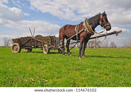 Horse with a cart Royalty-Free Stock Photo #114676102