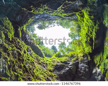 Scarisoara ice cave entrance, Apuseni mountains, Romania.  Royalty-Free Stock Photo #1146767396