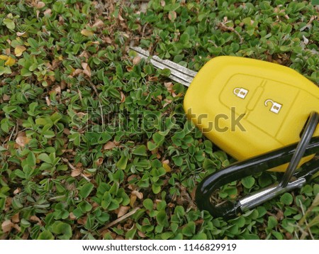 Key pickup truck on the grass with remote control.