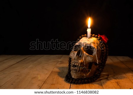 Human skulls lay on wooden floor and black background.