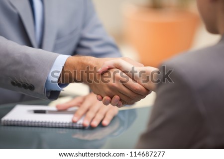 Two Businesspeople shaking hands indoors Royalty-Free Stock Photo #114687277