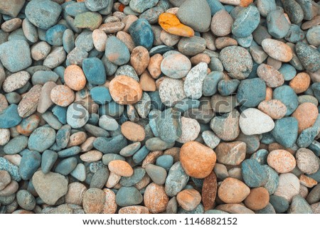 Color pebble stone in background.