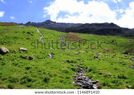 green grass in the mountains