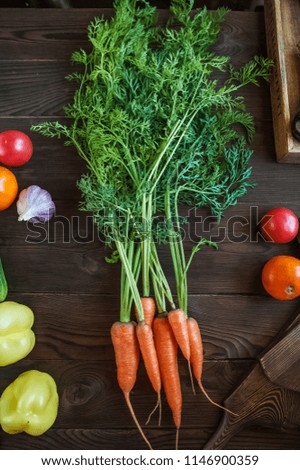 Beautiful picture of eating young carrots. Carrots with sprigs, tomatoes, garlic, pepper on a dark wooden background. Natural texture of autumn and summer vegetables. Background and space for text