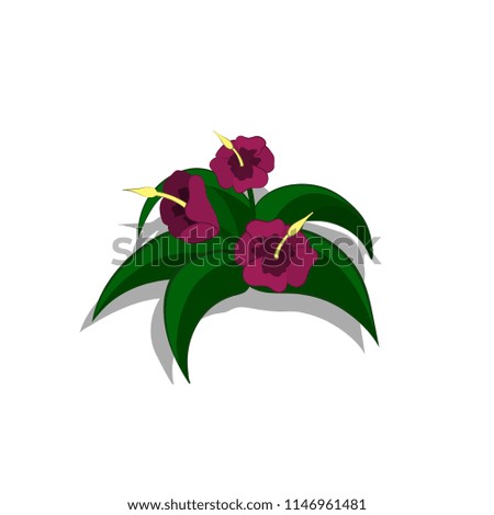 Plants in isometric style. Cartoon tropical bush with purple flowers on white background. Isolated image of jungles nature. Vector illustration