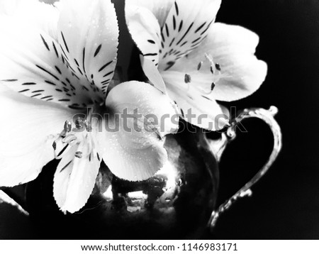 Tea Cup Blooms