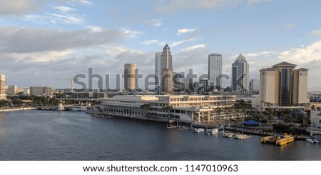 Tampa Bay Area