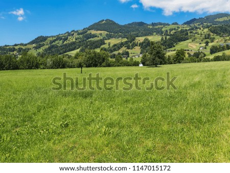 A summertime view from the village of Seewen in the Swiss canton of Schwyz, the picture was taken at the end of June.