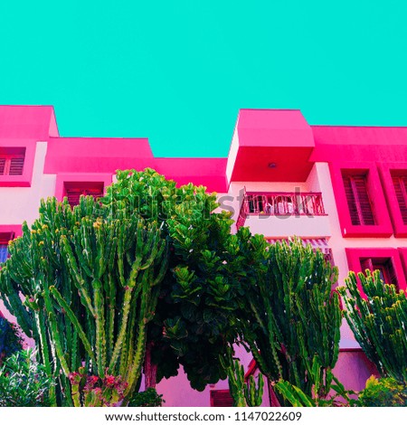 Tropical location. Plants on pink concept. Minimal art