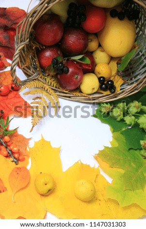 Autumn background, basket with fruits and colorful maple leaves.
