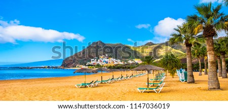 Amazing view of beach las Teresitas with yellow sand, umbrellas, longues and palm trees. Location: Santa Cruz de Tenerife, Tenerife, Canary Islands. Artistic picture. Beauty world.