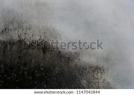 Grunge  interior of dirt cement wall 