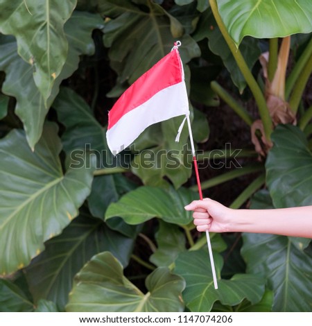 woman hand grab Indonesian flag in greenery background