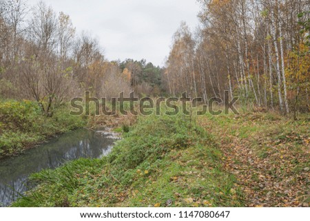 Autumn landscape with a forest stream. Nature in the vicinity of Pruzhany, Brest region,Belarus.