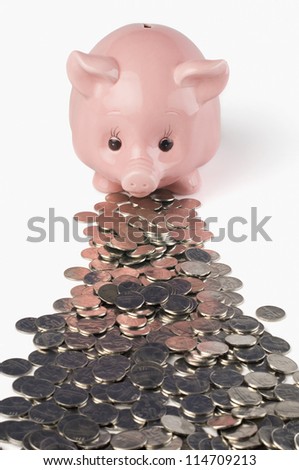 Rear view of a piggy bank