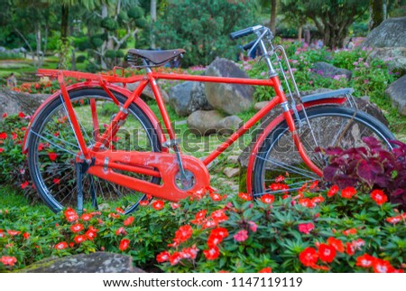 Old bicycle with flower, Old bicycle with flower from Thailand country