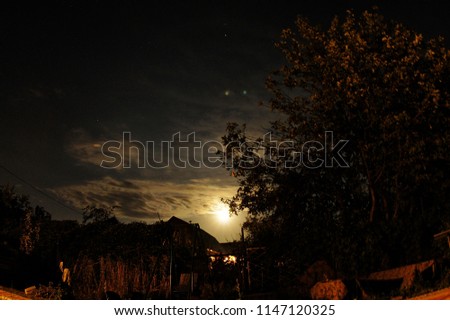 night full moon light in the garden