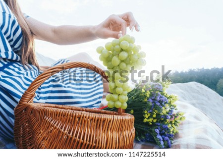 A young woman in a striped dress holds in her hand a branch of green fresh juicy grapes during a picnic with a basket of fruits and field flowers on the background of nature and sunlight.