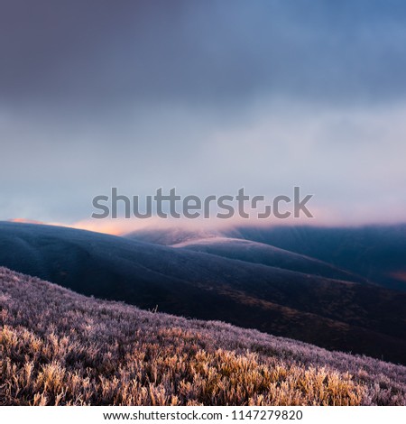 Fantastic autumn landscape with hoarfrost and grassy hills in Carpathian mountains