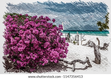 Tropical white beach in Madrisky island with a colourful plant of bouganvillea in the foreground (Los Roques Archipelago, Venezuela).